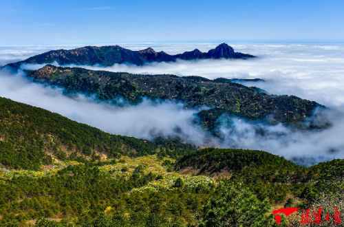 62万亩！福建造林绿化实现“开门红”