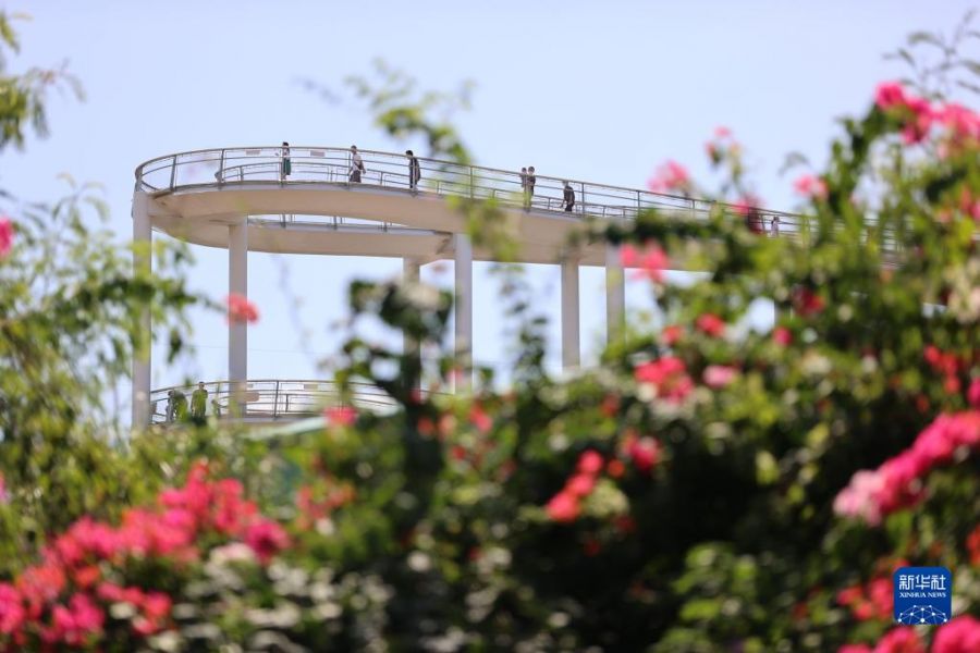 游客在厦门山海健康步道上行走游览。新华社发（曾德猛摄）