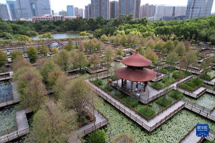 游客在厦门五缘湾湿地公园休闲游玩（无人机照片）。新华社发（叶怡亨摄）