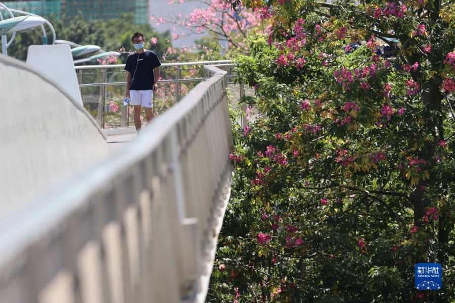 游客在厦门山海健康步道上行走游览。新华社发（曾德猛摄）