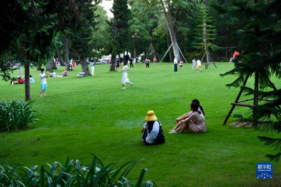 市民及游客在厦门园林植物园草坪上享受休闲时光。新华社记者 姜克红 摄