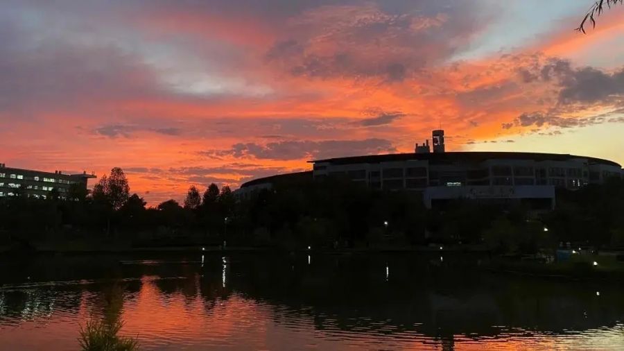 龙岩学院：雨后的校园，浅池倒映着天空、高楼、树木。风吹叶落的声音，让雨后的片刻时光显得格外的纯净、美丽。
