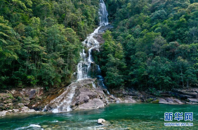 这是2020年4月1日拍摄的武夷山国家公园内的瀑布清溪（无人机照片）。新华社记者 姜克红 摄