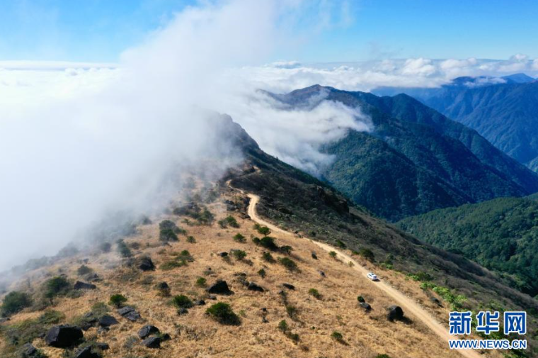 车辆行驶在云雾缭绕的武夷主峰黄岗山顶（无人机照片）。新华社记者 姜克红 摄