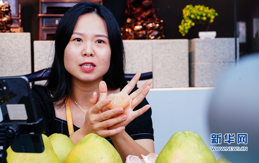 仙游县度尾镇，一名电商主播展示文旦柚果肉，进行直播带货。新华网 肖和勇 摄