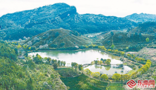 福建：绿色发展，生态高地展新姿