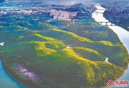 深化林改，只此青绿万重山