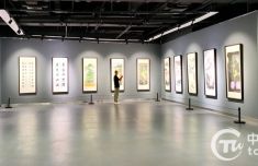 2022海峡两岸（聊城）书画名家共绘母亲河书画精品展在聊开幕