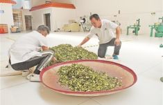 优质台企进贺州 投资兴业两相宜