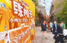 武汉园博园：全民练摊节里的台胞身影