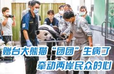 两岸专家共治“团团” 盼见证“两岸一家亲”