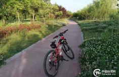 台商陈定国：我爱上了第二家乡宝应