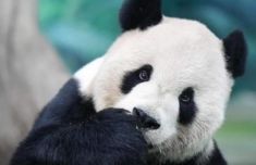 只要两岸民心相通 团团圆圆就不会太远！