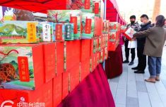 首届闽台“壹鹭花”花市年货节在厦门举办 两岸书画家现场写对联送福字