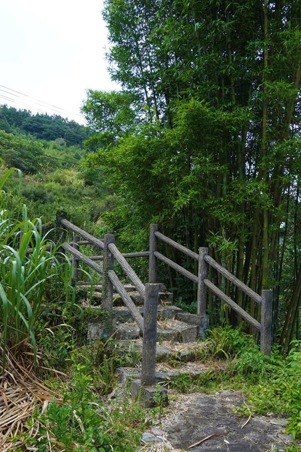 延绵山川的绿意,缓缓淌过的细流,为村庄支起了一片独属于夏季的森凉,留给人们无尽的遐思与向往。