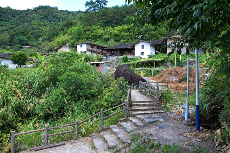 作为省级传统古村落,桔林村自然风光清丽。村中央古香古色的瓦厝点缀其中,浑然天成一幅山水画。