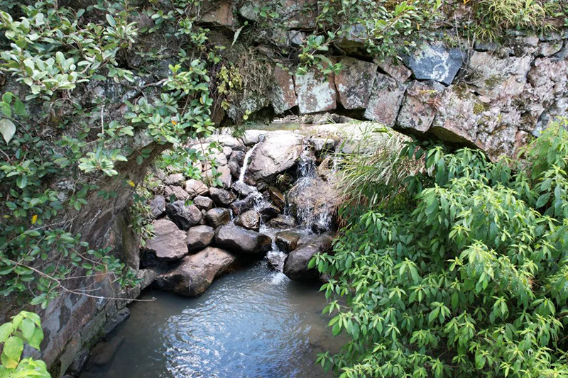 山溪长流,伴着岁月,伴着青山绿树,伴着山中的青石、古村,还有梯田里悄悄长大的禾苗,镌刻出一圈圈生命的年轮。