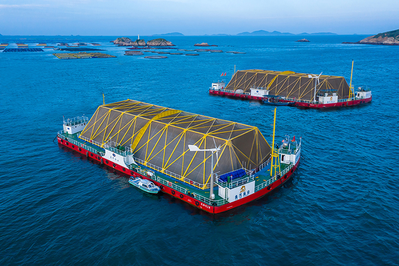 “定海湾1号”和“定海湾2号”深远海养殖平台。受访者供图