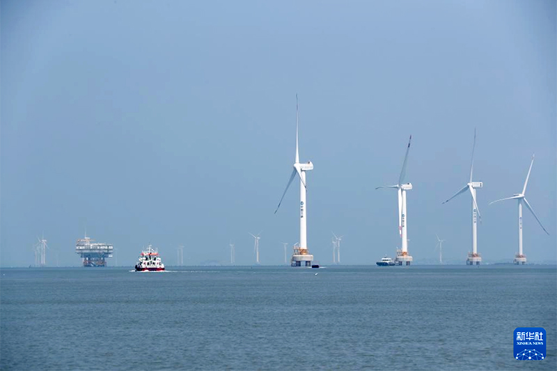 这是8月8日拍摄的三峡福清兴化湾海上风电场（无人机照片）。福建三峡海上风电国际产业园自主生产的部分海上风电机组在这里装机投产。新华社记者 姜克红 摄