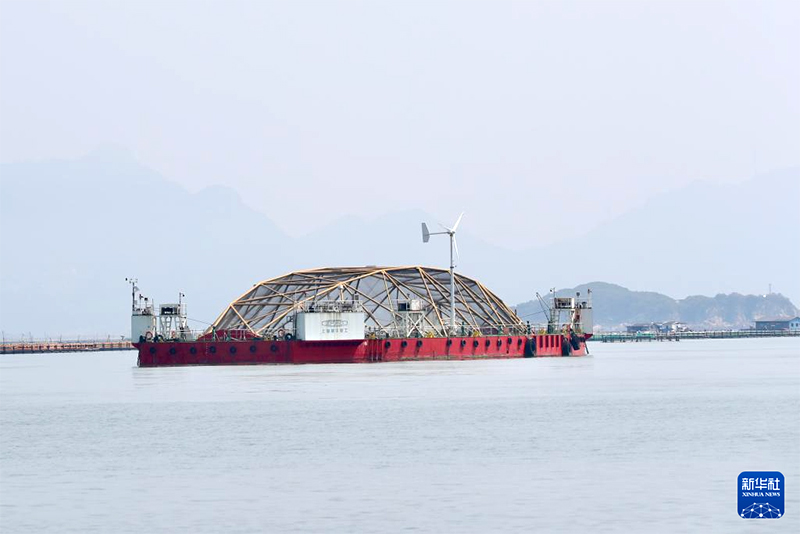 这是8月9日拍摄的福建连江定海湾“振渔1号”深远海养殖平台。新华社记者 姜克红 摄