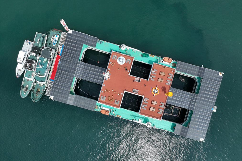 这是8月9日拍摄的福建连江定海湾“闽投1号”深远海养殖平台（无人机照片）。新华社记者 姜克红 摄