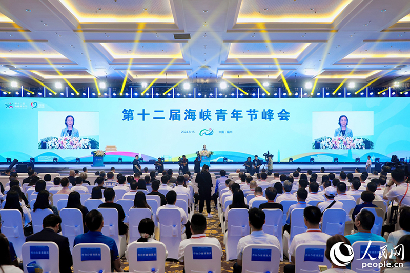 第十二届海峡青年节峰会现场。人民网 李唯一 摄