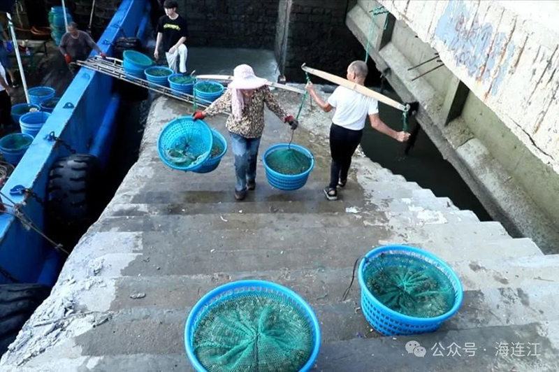 船上的渔民通过人工接龙的方式将海鲜运送上岸 来源：海连江