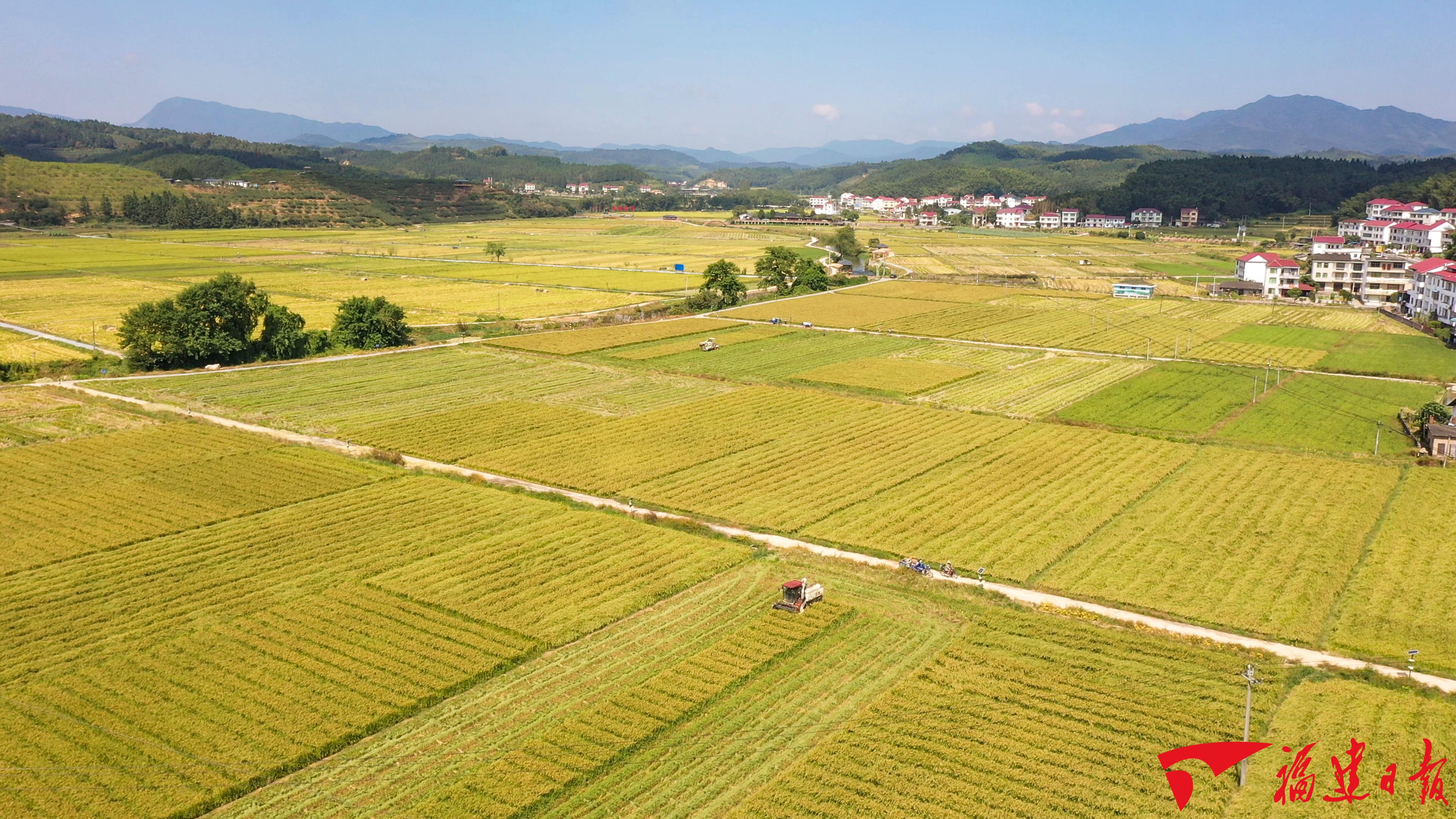 新福建这十年：特色振兴路 铺展山水间