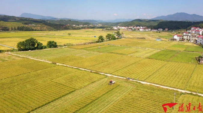 新福建这十年:特色振兴路 铺展山水间