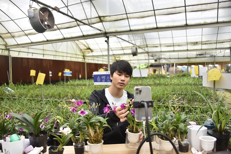 福建漳州：“一朵花”培育出千亿大产业