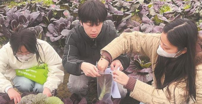 深读 | 当科技创新真正扎根泥土