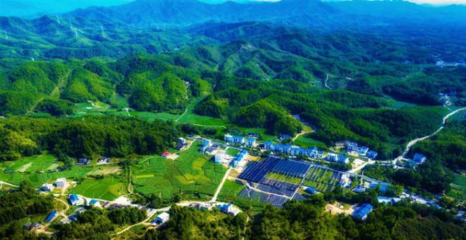 八闽大地以“绿”为笔绘新篇——写在“两山”理念提出20周年之际