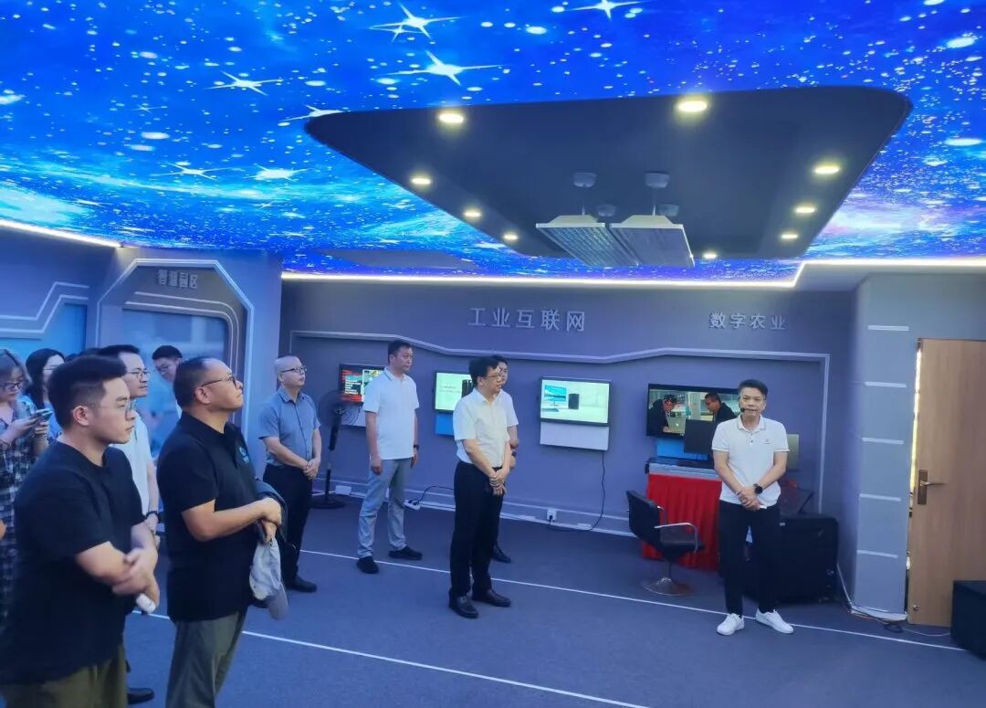 福建省网信产业联合会联合龙岩市人民政府举办龙岩市数字产业招商推介会