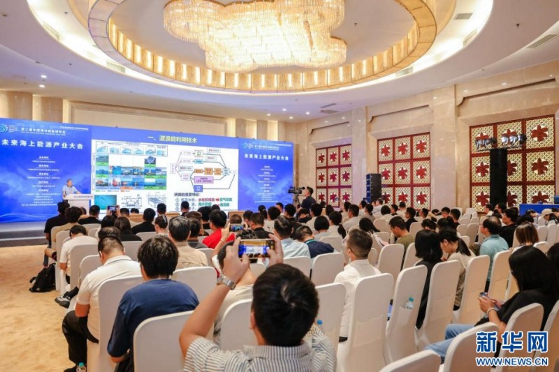图为博览会配套举行的论坛会议。新华网发(主办方供图)