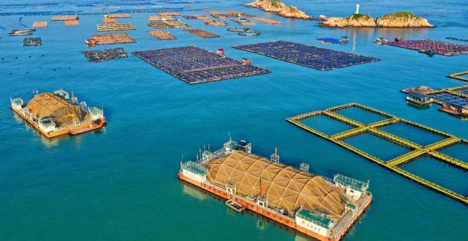福建海洋经济“十四五”成绩单出炉