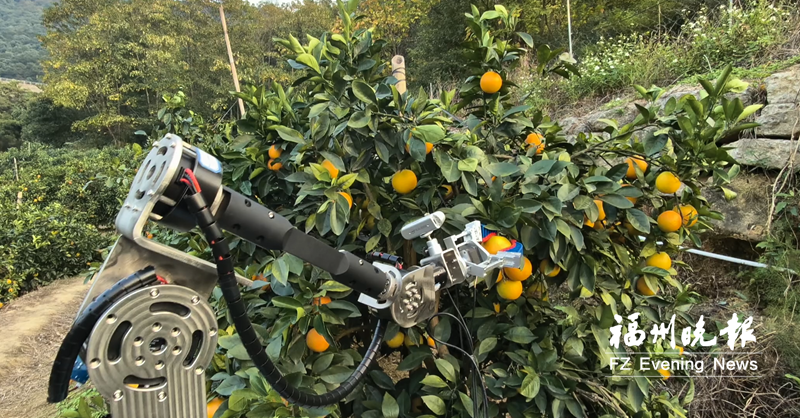 ��������E��ʡ���׸�����������ó���˶๦��غϷʻ�������