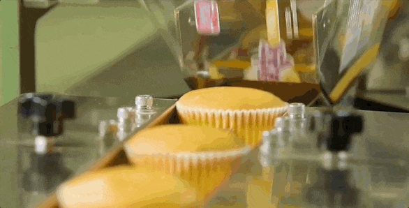 �����ĵ�����������Ӫ�����