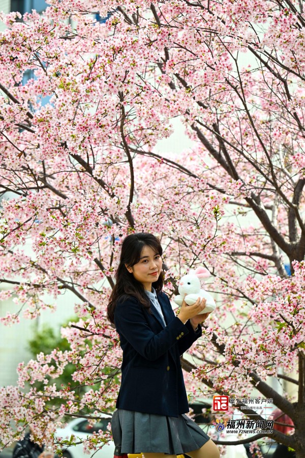 市民在樱花树下留影。记者 池远 摄