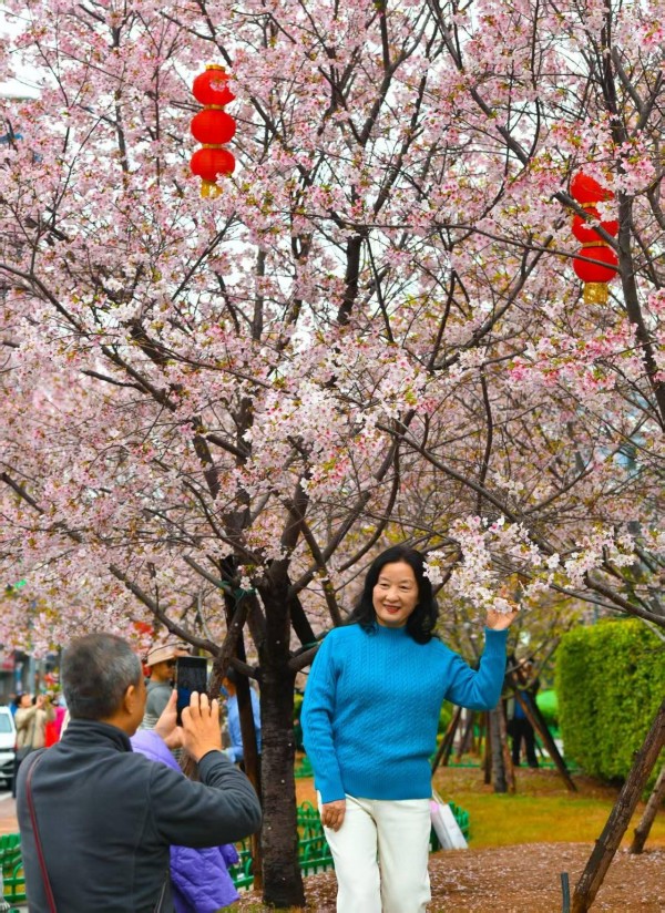 众多游人前来打卡观赏樱花。记者 池远 摄