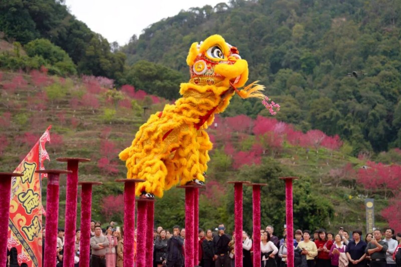 热闹的舞狮互动表演。永春县融媒体中心供图