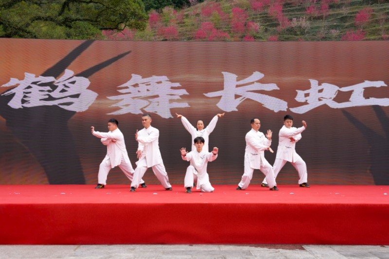 国家级非遗项目白鹤拳表演惊艳亮相。永春县融媒体中心供图