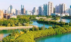 向总书记报告：八闽春天的回响