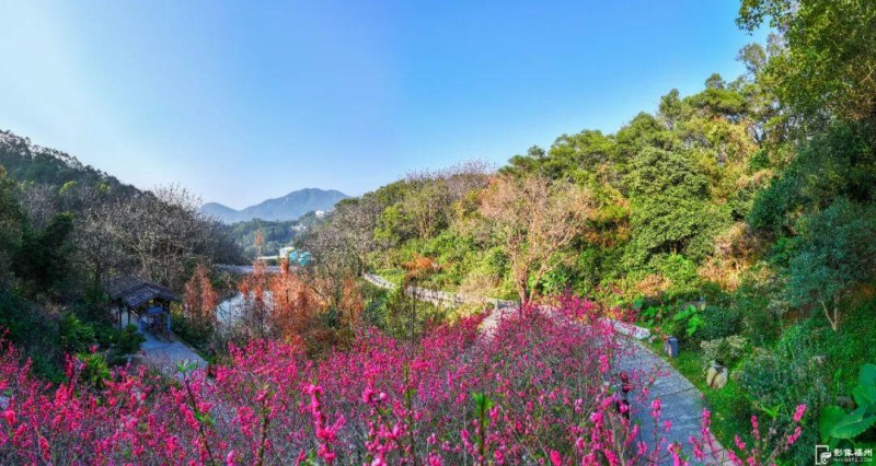 福山郊野公园桃花潭。记者 包华 摄