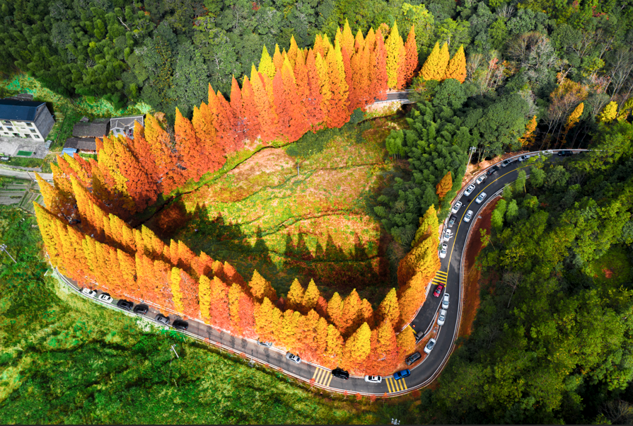 屏山君｜“十五五”规划纲要公布，福建这样“落子”