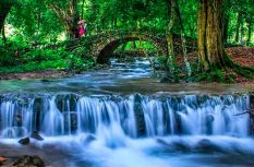 寧德3月份賞花自駕線：被花海包圍的山海！