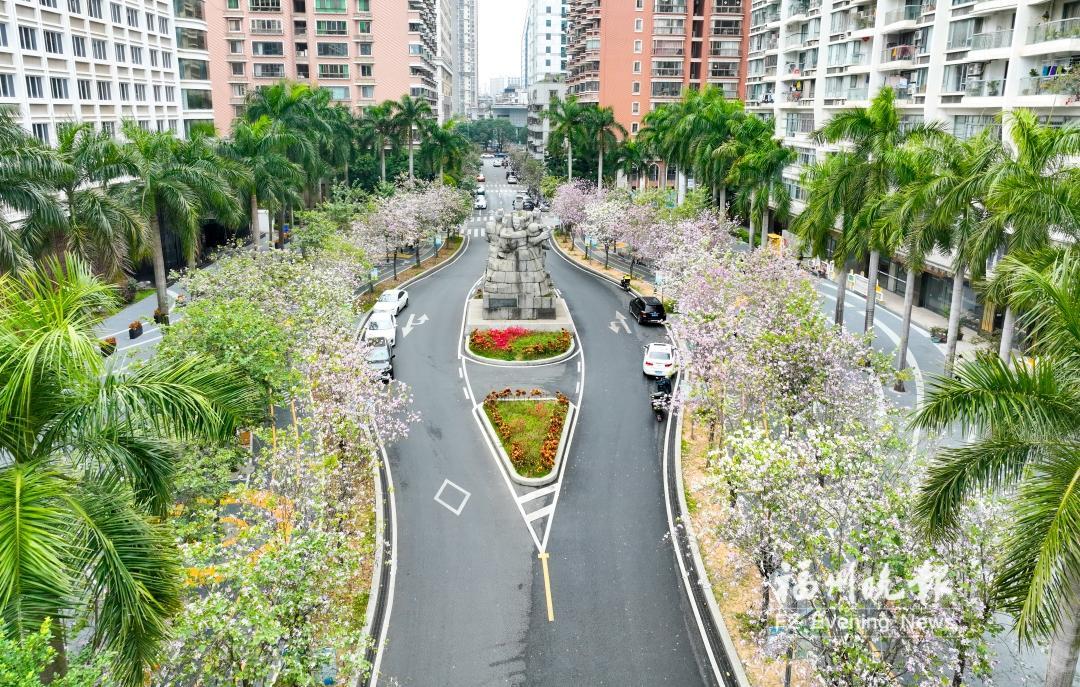 3�˿�����2�е�ְҵ����ѧУѡ��ʡ������5��ǭ��һ�����ʶ��л�