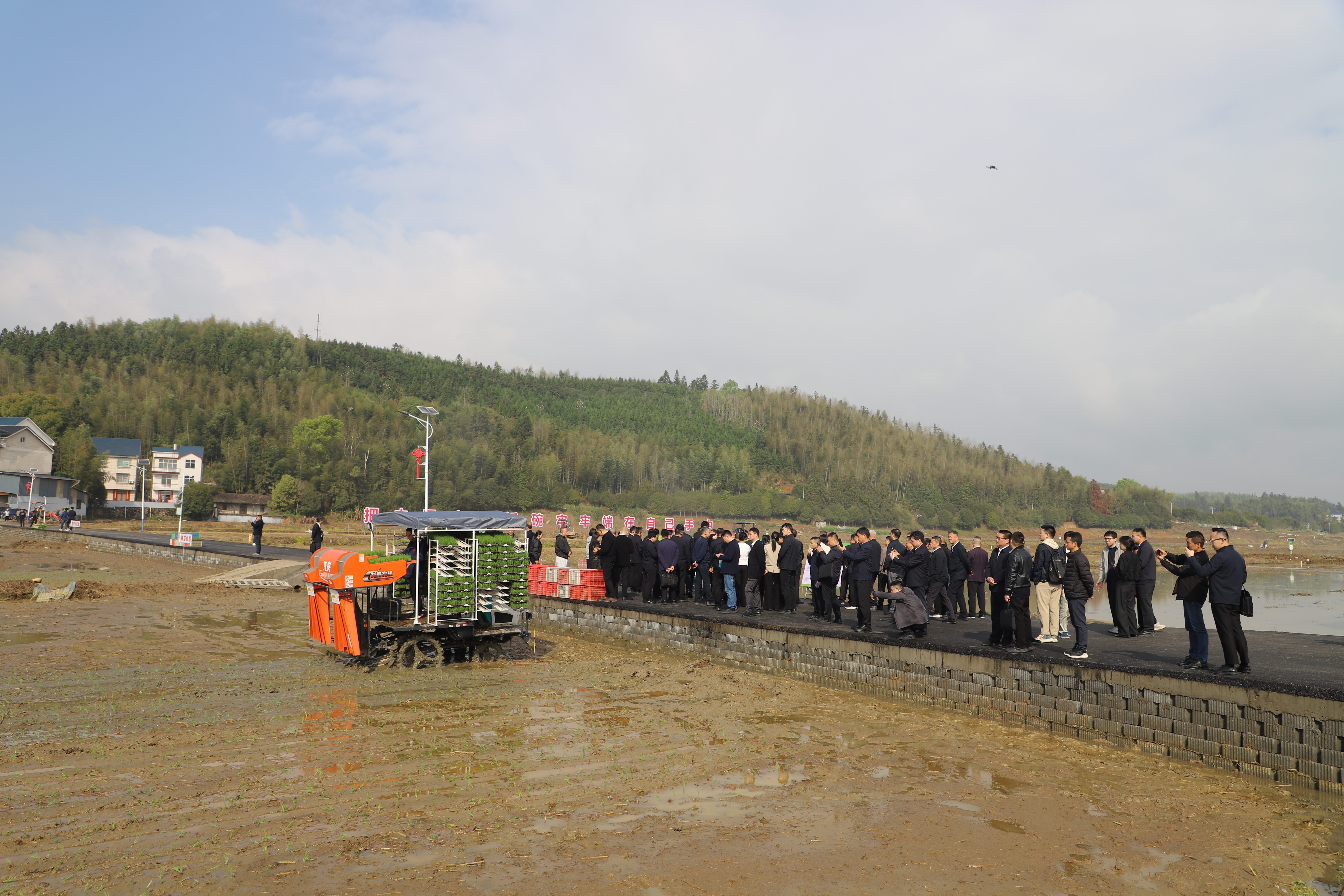 插秧机演示（浦城县融媒体中心供图）