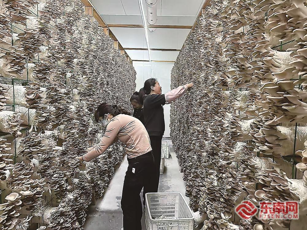 �ͻ����й�����Ϊů��·֧���Ʋм��ṩ�Ϸʷ���