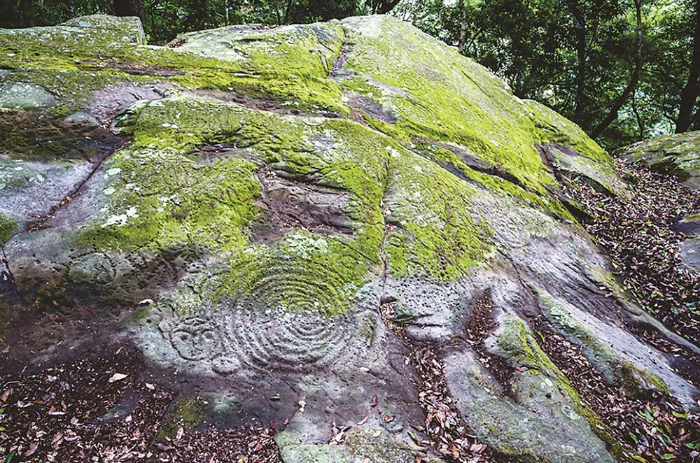 ��Ȩ����ů��ڹ�������� ��ά��Ϊ����ĺϷʻ�����з���