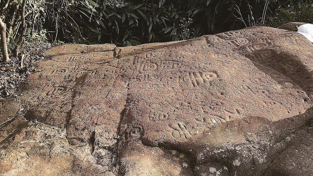 ��Ȩ����ů��ڹ�������� ��ά��Ϊ����ĺϷʻ�����з���